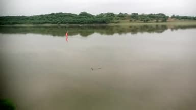 इटावा: भारी बारिश#के चलते यमुना नदी का#जलस्तर बढ़ने लगा है#कृपया सावधानी बनाय रखें#धमना कछार इटावा