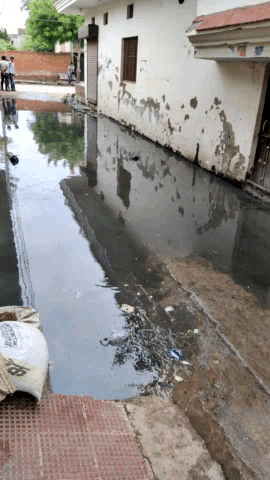 मुरैना: ward no 47 ke gadora k pura gali no 2 mai gandaa pani bharne se nikalne wale logo ko ho rhi hai preshani #congresparty