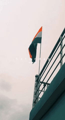 Har ghar tiranga 🇮🇳
#ekgaonektiranga #abvp