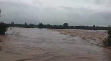 सिरोही  जिले में अच्छी बारिश होने के कारण पेशुआ  गांव में पश्चिमी बनास नदी पूरे वेग से बह रही है #banasriver #sirohi@