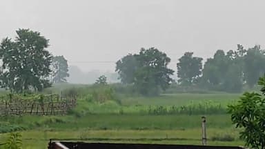 गोपालगंज: बारिश होने की वजह से किसानों में खुशियों की लहर... #rain #farmersofindia