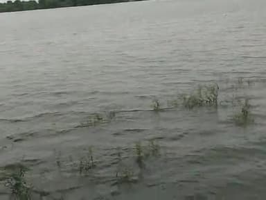 टोंक: tonk  .Paldi gav #tonknews #banasriver #bisalpur #bisalpur