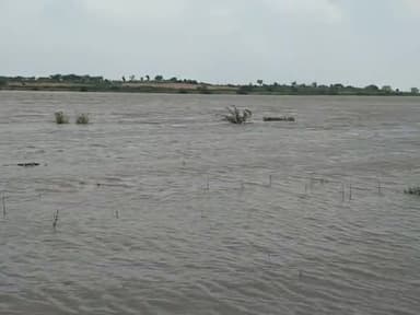 मड़िखेड़ा बांध के गेट खुलने से सिंध नदी उफान पर #कुलैथ #सिंध