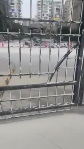 Noida: ट्विन टावर ब्लास्ट के बाद मलबे का पहला वीडियो आया सामने, देखें पूरा वीडियो
.
.
.
#Noida #TwinTowers