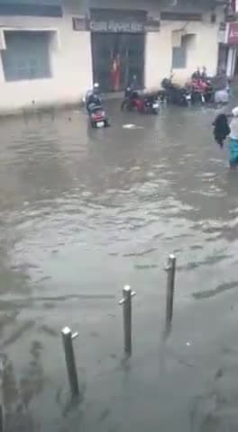 अपना #शहर #Forbesganj की सड़क की हालत देखिए।जरा 😂😂 हाय ।@बिहार @araria.news @road #road #sarak #bhr #biharnews #माईton