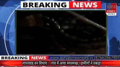 वन विभाग लापरवाह :- जान जोखिम में डालकर ग्रामीणों ने पकड़ा मगरमच्छ...
#bareillynews
#suryatimesnews
#upforest
