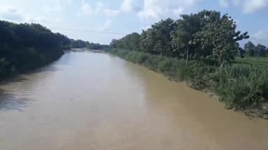 तुलसीपुर: सरयूं नहर परियोजना विकासखण्ड तुलसीपुर के पिपरहवा व अन्य गाँव के लिये अभिशाप#सरयू नहर परियोजना#जलभराव#किसानों की समस्या