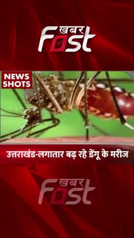 उत्तराखंड में बढ़ रहे डेंगू के मरीज
#khabarfast #DengueAttack #uttarakhand #dengue #denguesymptoms #shotsvideo