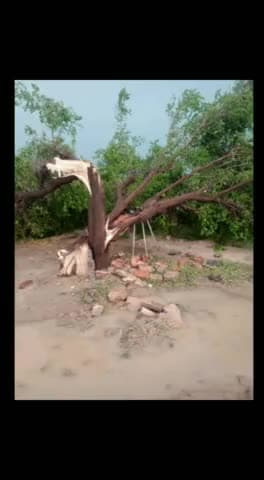 आज आए आंधी तुफान से जावध जुनी में हुआ भारी नुक़सान
खड़ी फसल हुई चौपट बिजली के खंभे व ट्रांसफर गिर गया #jaisalmar