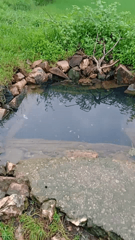 पत्थलगांव: @#इतना गंदा पानी पीने के लिए बटुराबहार के ग्राम वासी मजबूर.. #