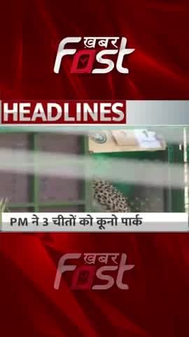 PM ने 3 चीतों को कूनो पार्क में छोड़ा
#khabarfast #kunonationalpark #pmmodibirthday #cheetahs #shorts