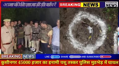 तमकुही राज: कुशीनगर। जिले के तमकुहीराज में पैंतालीस हजार का इनामी पशु तस्कर पुलिस मुठभेड़ में घायल#kushinagrnews #uppolice