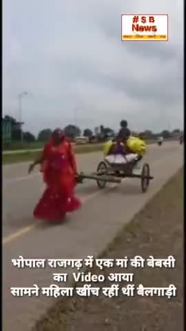 महिला खींच रहीं थीं बैलगाड़ी राजगढ़ में बोली 4 बच्चे हैं पति की मौत हो चुकी l Sbnews #rajgad #india