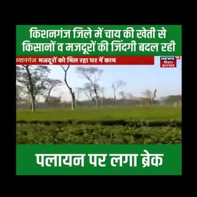 #सीमांचल में चाय की खेती को सरकार दे रही बढ़ावा...किसानों की बढ़ी आमदनी व महिलाओं को रोजगार के मिल रहे अवसर।
#Simanchal #Bihar 
#nitishkumar