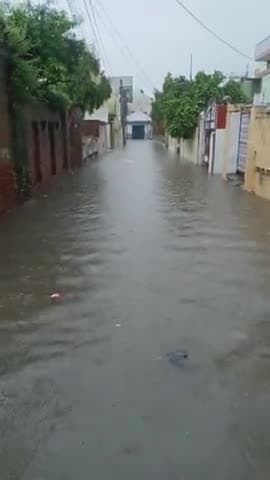शिकोहाबाद: #शिकोहाबाद नगर पालिका द्वारा नहीं हो रही है सुनवाई दास कंपाउंड वार्ड नंबर 4