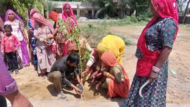 #barmer
नेहरु युवा केन्द्र बाड़मेर मे ग्रीनमैन का मिशन ग्रीन बाड़मेर के तहत पौधरोपण कार्यक्रम
#ग्रीनबाड़मेर #greenbarmer 
#मिशनग्रीनराजस्थान #डेजर्टबाड़मेर #greenmanofbarmer
