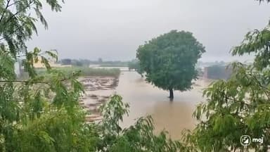 छाता: गांव पसौली मैं हुई तेज बारिश से किसानों की फसल डूबी किसानों ने कि मुआवजे की मांग#viralreels #video #rainyday