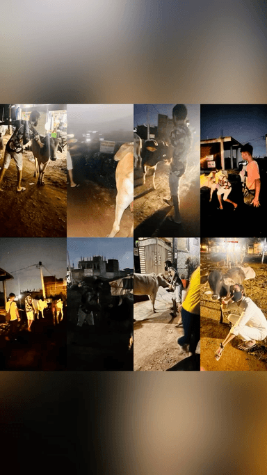 आज ग्रीनवुड स्कूल आदित्य पुरम डंडोतिया मार्केट इन जगाओ पर आज गो माता को वैक्सीन की गई 🙏🏻
#apsgurjar #vaccine #animal #animals #help #cow #cows