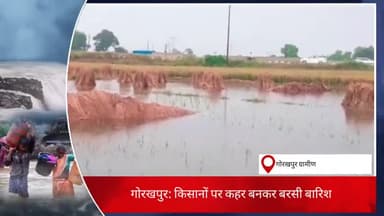 गोरखपुर के ग्रामीण इलाके के किसान तबाह,,सरकार भी नहीं करती मदद #gkp