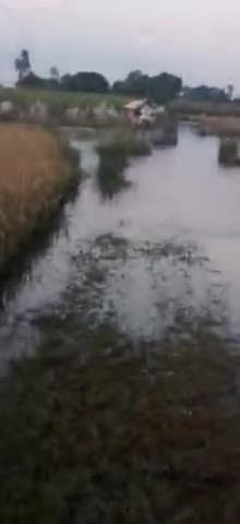 गोला गोकरणनाथ: charo taraf pani hi pani #rainning