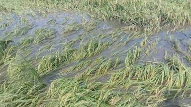 रुदौली: भारी बारिश के कारण खेतो मे हुवा जलभराव ।
जलभराव से टूटी खायी।#farming #farmar @news18uputtarakhand @newsindia24x7
