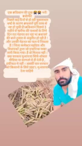 #amitbharatpur05 #अमित_चौधरी_जयचौली