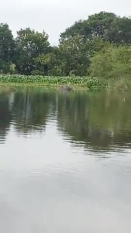 gram Panchayat belwa ke umriya block nakha dikha magarmacch logon mein macha hadkump #Lakhimpur #khiri #nakahablock