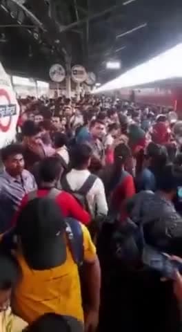 दो रूपल्लियों को #UPPET परीक्षा से तो कुछ लेना देना है नहीं... इंटर के बाद हाई स्कूल वाले जो ठहरे।
इस कुव्यवस्था के नाम पर भी कुछ गोबर खा लेते।👇
