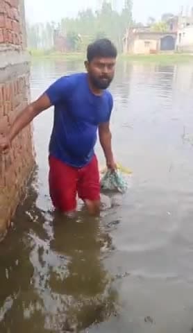 #_गहरे_पानी में #डुबने से एक #दादी मां का #मौत हो गया , दादी मां
पिपरी ग्राम सभा कि थी _
बड़े भईया धीरज ने निकला बाहर