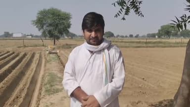 आलू की बुवाई जोरों पर, त्यौहार पर भी बुवाई में लगे रहे #किसान इस साल आलू का भाव अच्छा हो, #आलू किसान की यही उम्मीद बस।