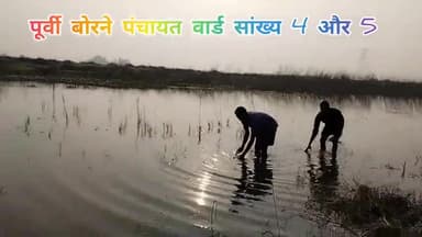 #पूर्वी बोरने पंचायत वार्ड सांख्य 4 और 5
#@छठ पूजा घाट chhath puja ghat
#@सोनवर्षा घाट,