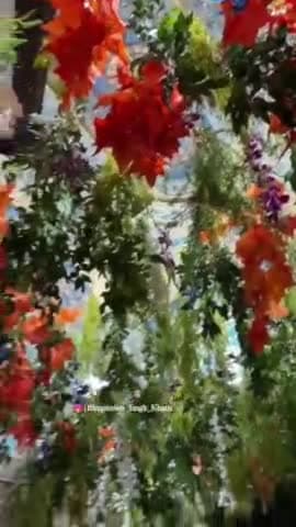 #जय_श्री_श्याम
✨🎇🎆🎂🎂🎂🎂💐💐🌹🌹💐💐👏👏