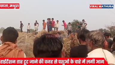 छाता: हाईटेंशन तार टूटने की वजह से दो औरतें घायल हॉस्पिटल में भर्ती पशुओं के रखे चारे में लगी आग #mathura #viralmathura