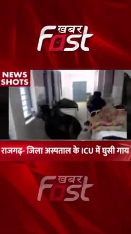 राजगढ़- जिला अस्पताल के ICU  में घुसी गाय 
#Khabarfast  #rajgarh #Cow #DistrictHospital #MadhyaPradesh #ICUward #Reels