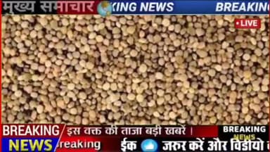 ग्वार के भाव में आ सकता है उछाल
#nagaur #nagaurnews #nagaurmandi