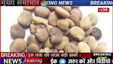 ग्वार के भाव
#nagaur #nagaurnews