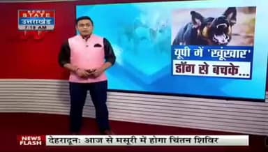 सीतापुर में #कुत्तों का आतंक राहगीर और बुजर्गो बच्चों समेत 20 लोगो को बनाया निशान #news_update