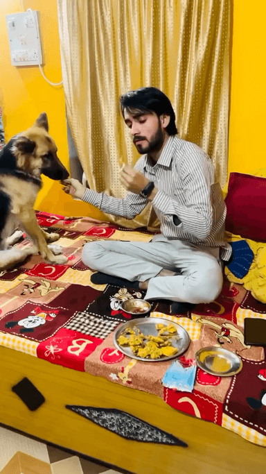 My cute Jerry 🐕💕
Respect animals
Respect Girls please help poor people
#apsgurjar
#dog #cute #doglove