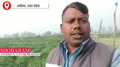 काली मिर्च की खेती कैसे करें
#agriculturetoday #agriculturenews