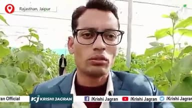 Poly House में खीरे की खेती से लाखों के ऊपर पहुंचा किसान का मुनाफ़ा
#polyhouse #agriculture #farmersofindia