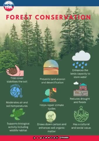 Save the forest because it serves us a lot, without taking anything from us and our only duty is to save it...!!
#savetrees #nature #trees #saveearth #savenature #photography #india #environmental #naturelover #ypa #ypa4india