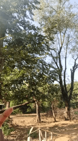 लापरवाही ही लापरवाही @ramji.sah #dumka #jharkhandgovernment #newsheadlines