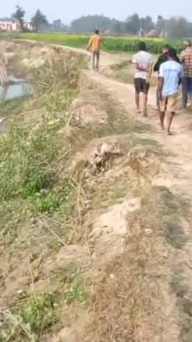 छातापुर: ग्रामीणों में आशा की किरण, SDO ने नदी के किनारे सड़क का सर्वेक्षण किया #tejpartapyadav