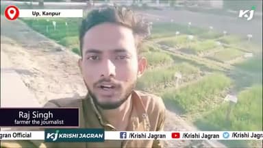 How to grow onion/प्याज़ की खेती का अचूक तरीका/ Onion grower
#Agrinews #Agriculture #Farmers