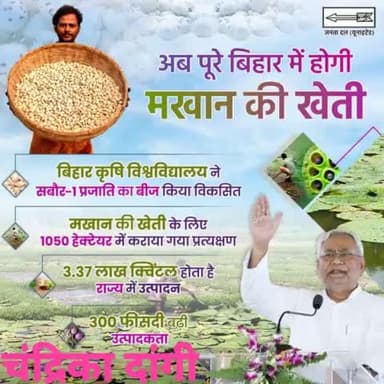 मुख्यमंत्री माननीय Nitish Kumar  जी के नेतृत्व में #मिथिलांचल व कोसी ही नहीं बल्कि पूरे #बिहार में अब #मखान की खेती को बढ़ावा दिया जा रहा है। इसके लिए बिहार कृषि विश्वविद्यालय ने सबौर-1 प्रजाति का बीज विकसित किया जिसका 1050 हेक्टेयर में प्रत