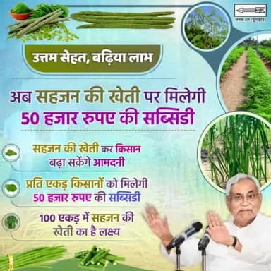 #अब सहजन की खेती कर #किसान बढ़ा सकेंगे आमदनी... इसके लिए प्रति एकड़ किसानों को 50 हजार रुपए का #सब्सिडी दिया जाएगा। नीतीश सरकार की 100 एकड़ में सहजन की खेती करने की योजना है।
#Krishi #Kisaan