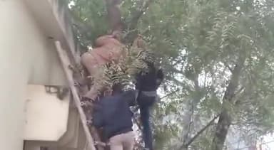 सिपाही ने लगाई फांसी
छिबरामऊ न्यायालय परिसर में तैनात था सिपाही
#kannauj #chibramau #crimereport