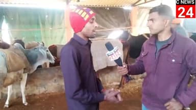 गजरौला: उत्तर प्रदेश की सबसे सुंदर गौशाला देखकर दंग रह गए योगी जी@mahindrasingh #newsIndia #viralindian #mahindrasing