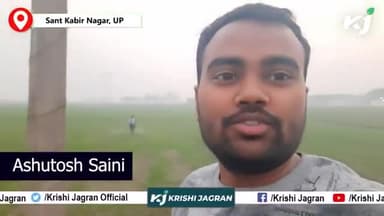 खेत में सीधे सुपर सीडर से करें गेहूं की बुवाई
#agricluture #farmers