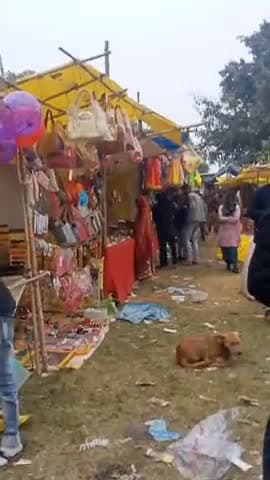 सुरौली बुजुर्ग में विगत वर्षो से चल रहे साप्ताहिक मेले व दो दिवसीय रामलीला का पहला दिन#hamirpurnews @news18india
